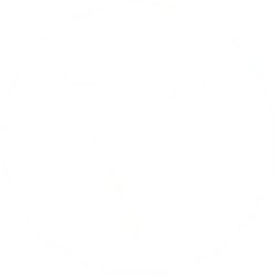 Logo Praktijk VIEF