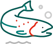 Logo La Truite Houffalize