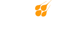 Logo LASEM