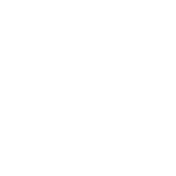 Logo LINOO TECHNIC