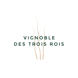 Logo Vignoble des Trois Rois