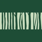 Logo ETICWOOD
