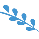 Logo DPM ASSURANCES