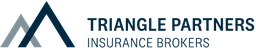 Logo TRIANGLE - PARTNERS
