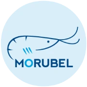 Logo MORUBEL
