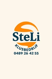 Logo STELI