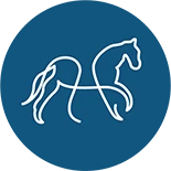 Logo BTCLTGG