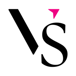 Logo VS CONSULTING COMPANY
