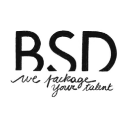 Logo BSD Company