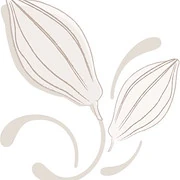 Logo Chocolaterie Soetkin