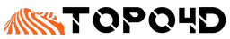 Logo Topo4D