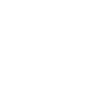 Logo BRAED