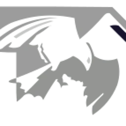 Logo HOME SECURITY SYSTEMS