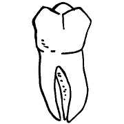 Logo MDV Tandartsen