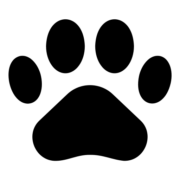 Logo DAP FIDELIS
