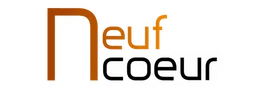 Logo AIN