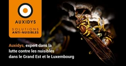 Logo AUXIDYS SARL