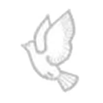 Logo PALOMA