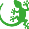 Logo Gecko