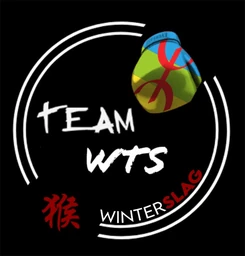 Logo Team Wts