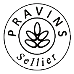 Logo SASU ATELIER DE PRAVINS