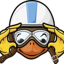 Logo Adopte un canard.be