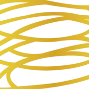 Logo MDZ Food