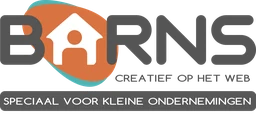 Logo BARNS