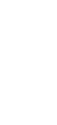 Logo PAVIA