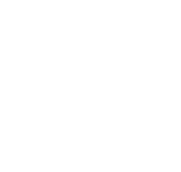 Logo De Straaljagers