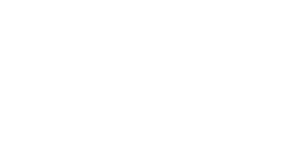 Logo 9LIVES