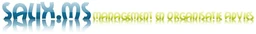 Logo SALIX MANAGEMENT SERVICES