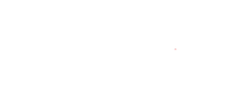 Logo MOONS W.