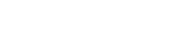 Logo SW HOLDING