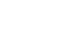 Logo BØSSER