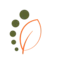 Logo Phytaroma