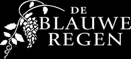 Logo DE BLAUWE REGEN