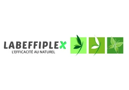 Logo EFFIPLEX