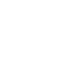 Logo LION STONE