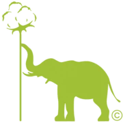 Logo ELECOSY