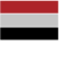 Logo DZI