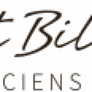 Logo VISION VINCENT BILLIET
