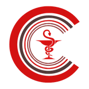 Logo DICK'S CONSULTING