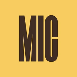 Logo MIC