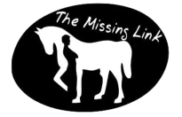 Logo The - Missing - Link