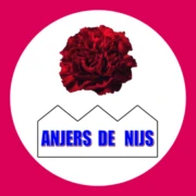 Logo Anjers De Nijs