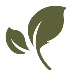 Logo Terra Vida