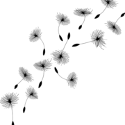 Logo Toekomst-Coaching