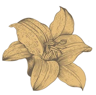 Logo HUIZE ALBERIC