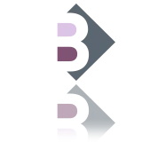 Logo BAUVIR & CO
